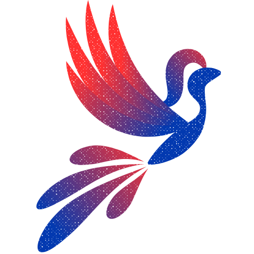 Web & App developer
